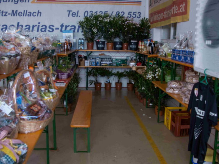 Sonntag, 06. Juli 2025,  Florianifest der FF-Gnaning